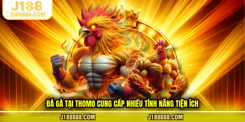 Đá gà tại Thomo cung cấp nhiều tính năng tiện ích