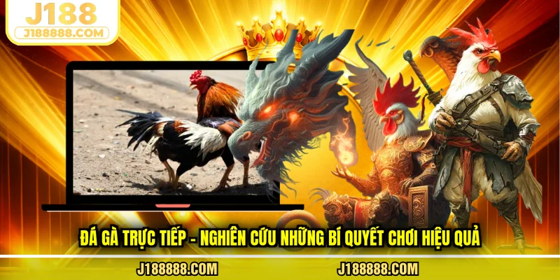 Đá gà trực tiếp