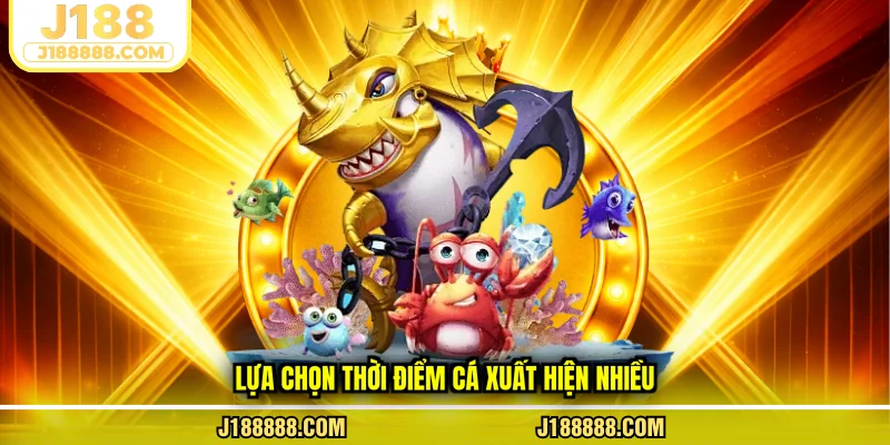 Lựa chọn thời điểm cá xuất hiện nhiều