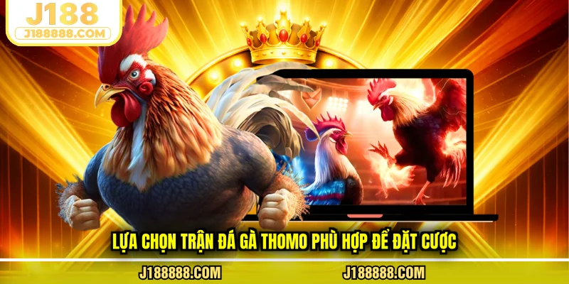 Lựa chọn trận đá gà Thomo phù hợp để đặt cược