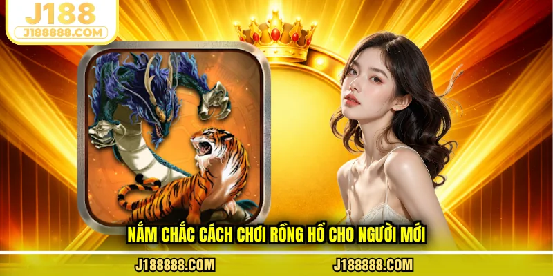 Nắm chắc cách chơi rồng hổ cho người mới
