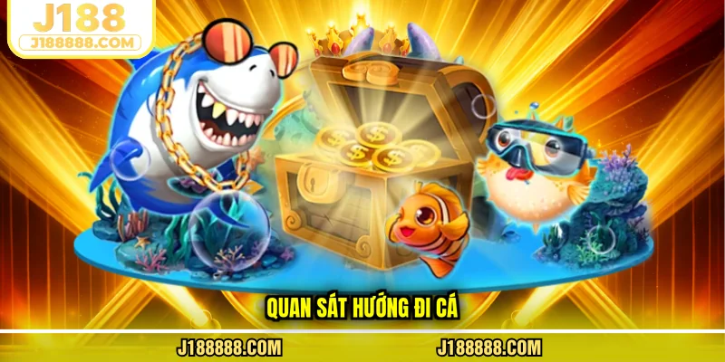 Quan sát hướng đi cá