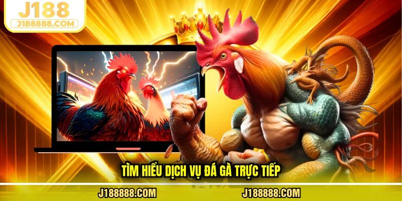Tìm hiểu dịch vụ đá gà trực tiếp